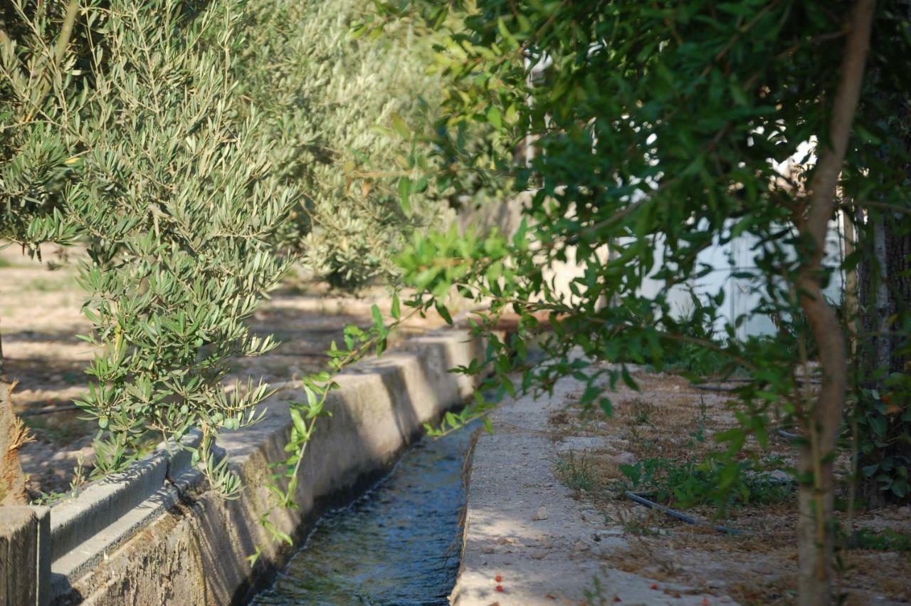 Cortijo Andaluz Dona Adela Guest House Almeria Luaran gambar